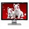 Hewlett Packard 24" LCD Flat Panel Monitor - W2408