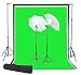 ePhoto Photography Studio Continuous Light Lighting kit, 6' X 9' ChromaKey Chroma Key Green Screen, Black, White, Muslin 100% Cotton Background Backdrops with Backdrop Support System + Case by ePhoto INC K69B/G/W Bag