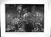 1904 WONDER WORLD CAVE KENTUCKY SHIP CHAMOIS PATRAS