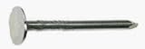 Fox #153650 SF5LB1-3/4Elec RoofNail