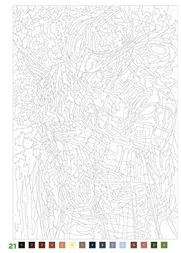 Coloriages mystères 100 nouveaux coloriages kaufen id= &t=Coloriages mystères : 100 nouveaux coloriages
