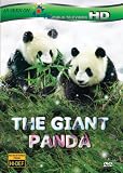 Buy : The Giant Panda