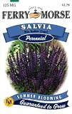 Ferry-Morse Perennial Flower Seeds 1133 Salvia - Blue Bedder (Sage) 125 Milligram Packet
