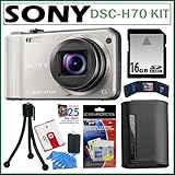 Sony DSC-H70 Cyber-Shot DSCH70 16.1 MP Digital Camera with 10x Wide-Angle O ....