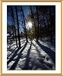 Sun Casts Shadows Through the Trees at Snowy Great Falls, Virginia - Evocative - approx. 25"x29" Framed and Matted - 1 1/2" Antique Style Gold Frame - Photographic Print by Brendan Reals