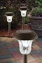 Westinghouse 107109-78  10 Piece Spector Solar Lights Set, Remington Bronze