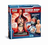 from Mehano Mehano Human Body Playset