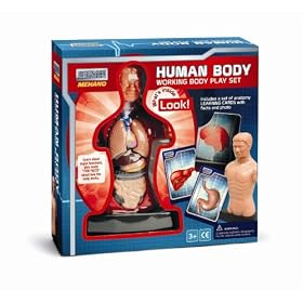Mehano Human Body Playset