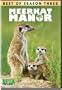 Meerkat Manor: Best of Season 3