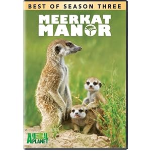 Meerkat Manor: Best of Season 3 movie