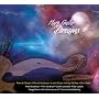 Harp Guitar Dreams