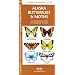Alaska Butterflies & Moths: An Introduction to Familiar Species (State Nature Guides)