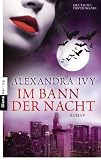 Im Bann der Nacht: Guardians of Eternity 4 - Roman - Alexandra Ivy