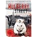 Mulberry Street