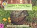 Groundhog at Evergreen Road (Smithsonian's Backyard) (Smithsonian's Backyard) by Susan Korman ISBN 1592490247