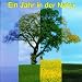 Faszinierende Naturger�usche und Tierstimmen
