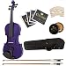 Cecilio CVN-Purple 4/4 (Full Size) Ebony Fitted Orchestra Dark Purple Violin with Hard Case