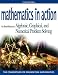 Mathematics in Action: An Introduction to Algebraic, Graphical, and Numerical Problem Solving (3rd Edition) (Consortium for Foundation Mathematics Developmental Mathematics Series)