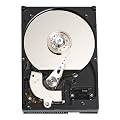 Western Digital WD3200AAJB Caviar Blue 320GB interne Festplatte (8,9 cm (3,5 Zoll), 7200rpm, 8MB Cache, E-IDE)