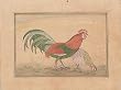 Mixed Media Art Miniatures India Folk Paintings Drawings & Water Color on Paper9.25 x 7.25 inches