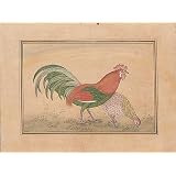 Mixed Media Art Miniatures India Folk Paintings Drawings & Water Color on Paper9.25 x 7.25 inches