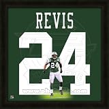 Darrelle Revis New York Jets Uniframe Framed Jersey Photo 20x20
