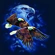 Eagle Spirit 500pc Jigsaw Puzzle by Tami Alba
