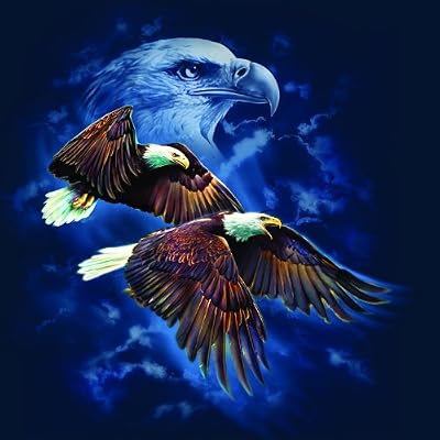 Eagle Spirit 500pc Jigsaw Puzzle by Tami Alba