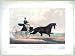Search : The king of the road: Dexter driven by his owner Mr. Robert Bonner of the New York Ledger at Prospect Park Brooklyn August 31st 1869, trotting a mile to a road wagon. weighing with driver 319 lbs. in the unprecedented time of 2 minutes 21 3/4 seconds (Reprint 24' x 18')