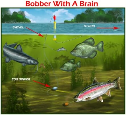 Big Ten Tackle's - 2 Bobbers with a Brain Fishing Bobbers