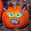 Pumpkin Wear Cat
