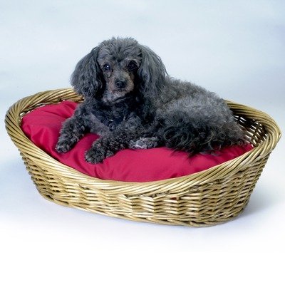 Snoozer Wicker Dog Basket and Bed, Medium, Navy Snoozer Wicker Dog Basket and Bed, Medium, Navy