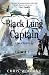 The Black Lung Captain: Tales of the Ketty Jay: Bk. 2 (Tales of the Ketty Jay 2)