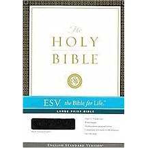 Holy Bible (King James Version, Expresso, Flexisoft, Large Print, Compact Reference) (Paperback)