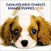 Cavalier King Charles Spaniel Puppies 2010 Mini Wall