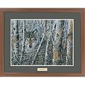 Woodland Realm Framed Print By David Wenzel