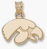 Iowa Hawkeyes Tiger Hawk Pendant - Gold Plated Jewelry