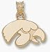  : UNIV OF IOWA TIGER HAWK PENDANT