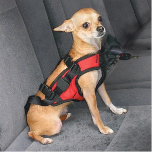 Dog Car Harness Small Horacio F. Ortegahiea