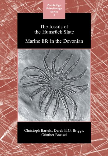 The Fossils of the Hunsrück Slate: Marine Life in the Devonian (Cambridge Paleobiology Series)