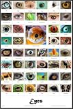 Eyes Science Poster