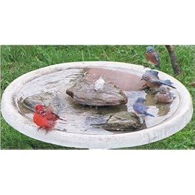 Quiba Birdspa W Top Only + Frt by Allied Precision