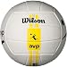 Sporting Goods : Wilson AVP Soft Touch Outdoor Volleyball