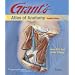 Grant's Atlas of Anatomy