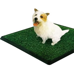 Amazon.com : PetZoom Pet Park Indoor Pet Potty, 25" x 20" x 0.5" : Pet