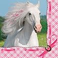 Heart My Horse Luncheon Napkin (16) Birthday Party Supplies