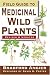 Field Guide To Medicinal Wild Plants