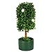 GIA Trees, Small,6.0 Tall,2.4W×2.4L, Black