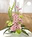 Sophistication - Same Day Flowers