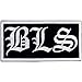BLS Black Label Society Heavy Metal Rockabilly Punk Music Embroidered Iron On Patches # WITH FREE GIFT